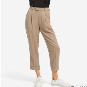 Everlane The Put-Together Pleat Pant in clay